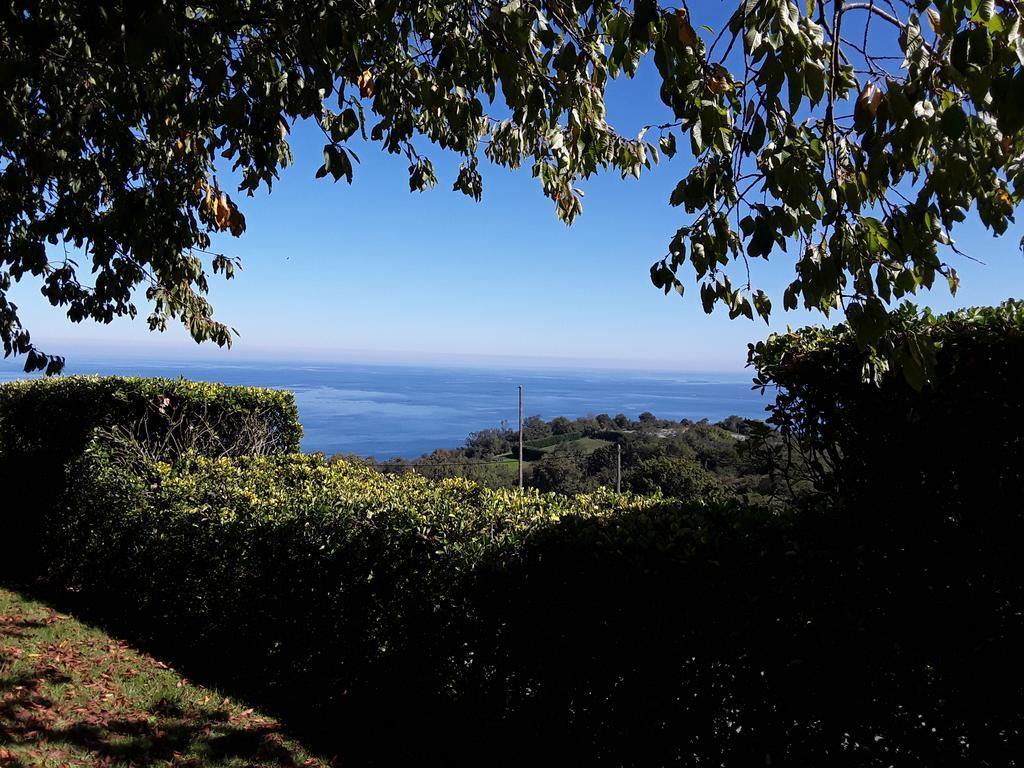 Epotx Etxea Apartment Getaria Luaran gambar